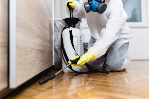 Best Wasp Removal Services  in Pottsville, PA
