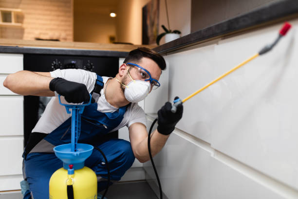 Best Bed Bug Extermination  in Pottsville, PA