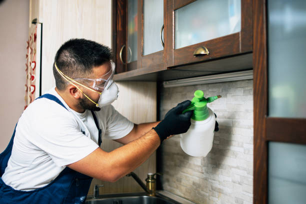 Best Mosquito Control Services  in Pottsville, PA