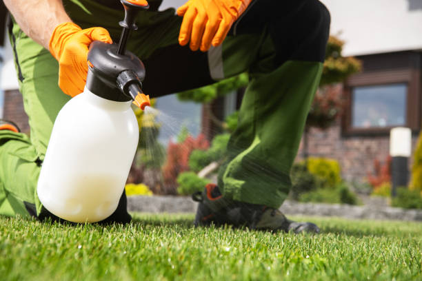 Best Local Pest Control Services  in Pottsville, PA