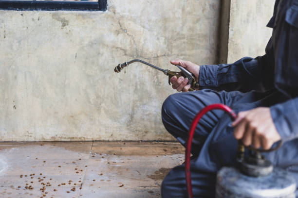 Reliable Pottsville, PA Pest Control Solutions